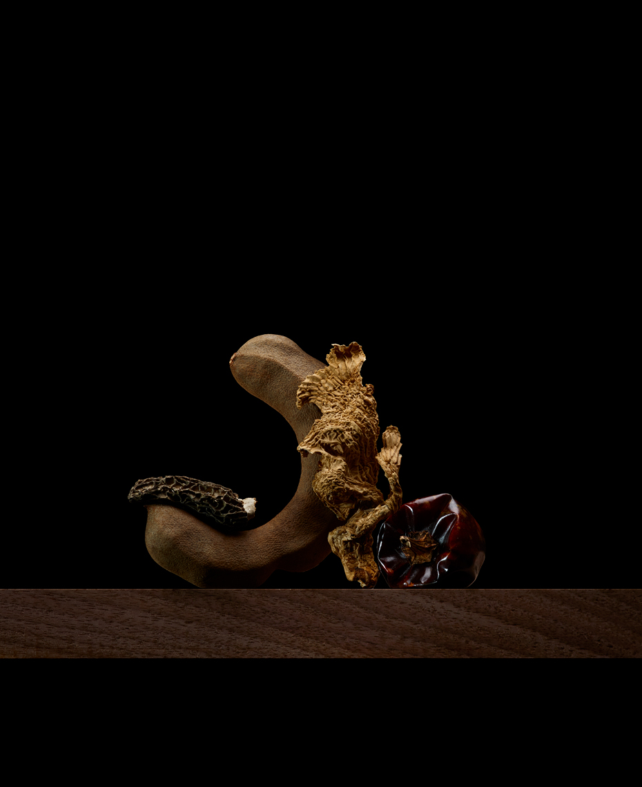 dessicated_3